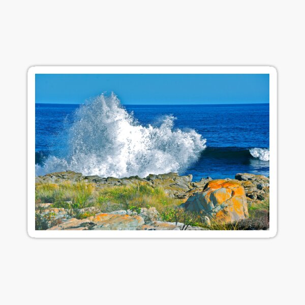 Ocean Bunny Sticker