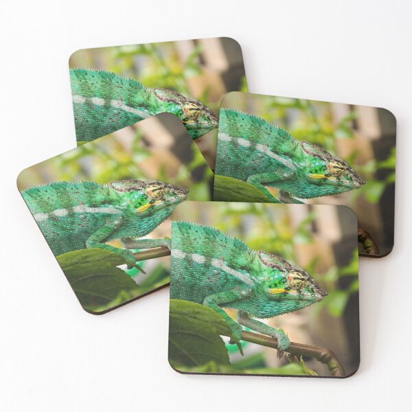 Item preview, Panther chameleon designed and sold by Gaël FONTAINE.