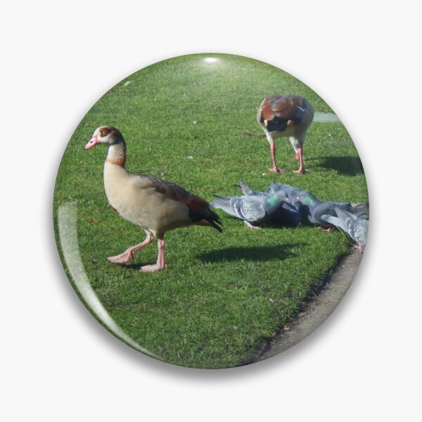 Artikelvorschau, Enten & Tauben entworfen und verkauft von SuzyQS.
