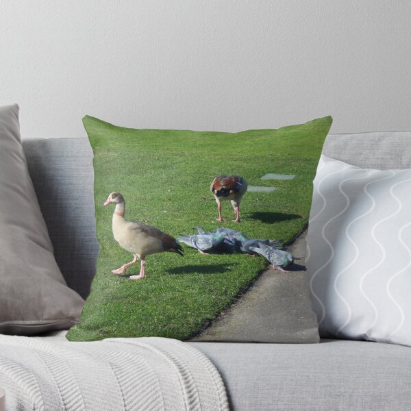 Item preview, Ducks & Pigeons designed and sold by SuzyQS.