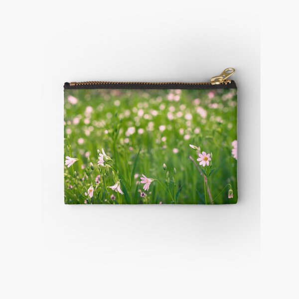 Item preview, Campanula ambella designed and sold by Gaël FONTAINE.