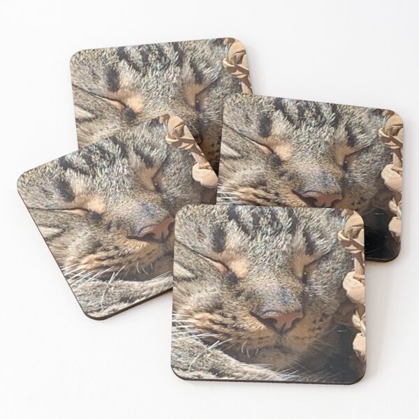Item preview, Up Close and Purrsonal  designed and sold by AllieJae.