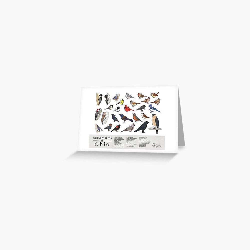 Item preview, Greeting Card designed and sold by BirdsandFriends.