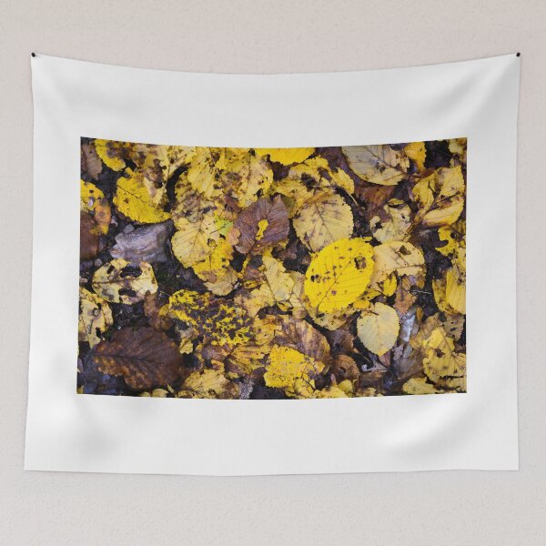 Item preview, Fall colors designed and sold by Gaël FONTAINE.