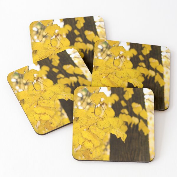 Item preview, Fall colors designed and sold by Gaël FONTAINE.