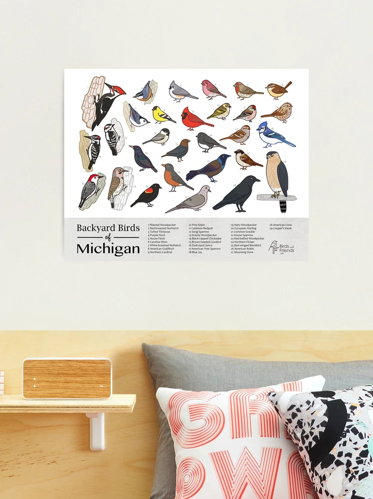 Michigan Wildflowers 18x24 Print – City Bird