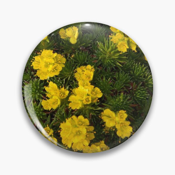 Item preview, Saxifraga   designed and sold by SuzyQS.