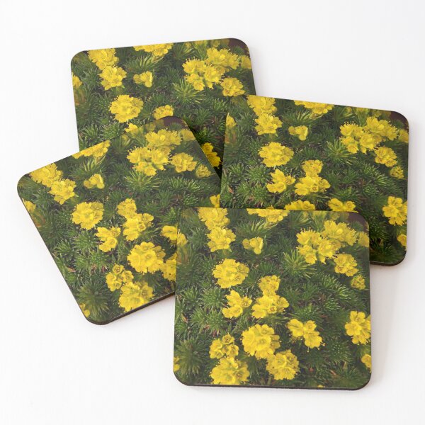 Item preview, Saxifraga   designed and sold by SuzyQS.