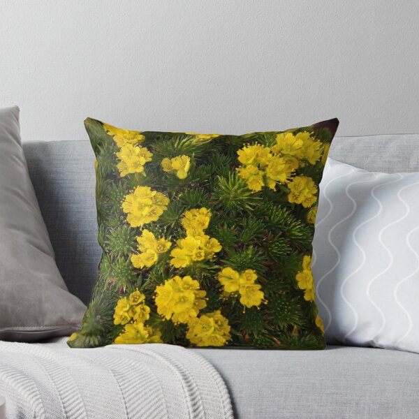 Item preview, Saxifraga   designed and sold by SuzyQS.