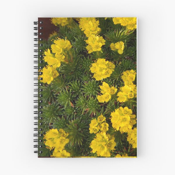 Item preview, Saxifraga   designed and sold by SuzyQS.