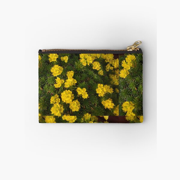Item preview, Saxifraga   designed and sold by SuzyQS.