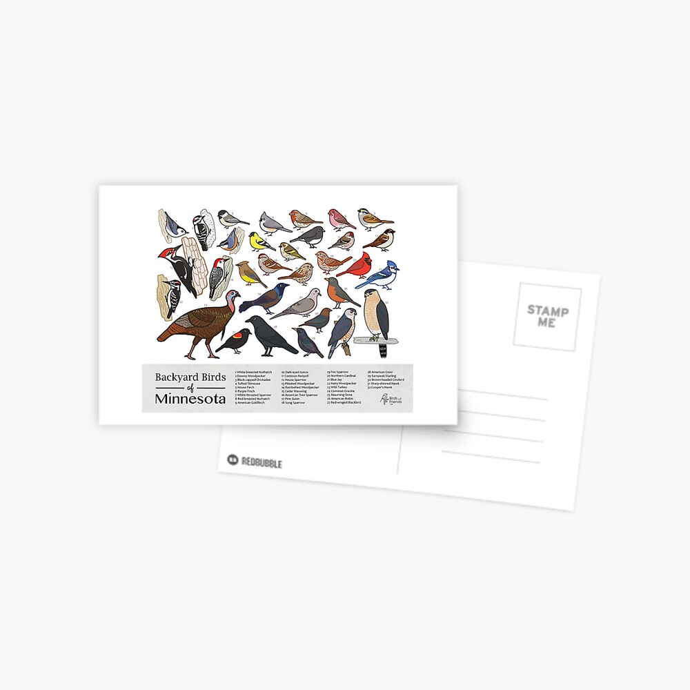 Item preview, Postcard designed and sold by BirdsandFriends.