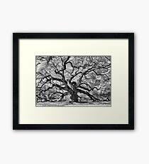 Angel Oak Framed Print