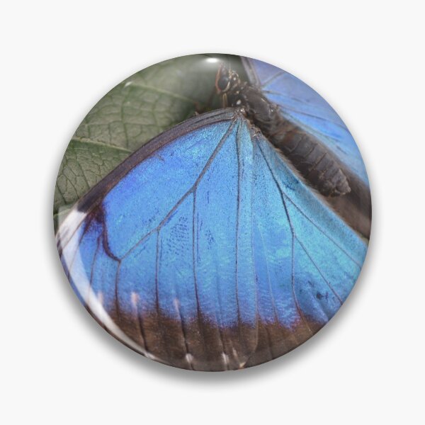 Item preview, Beautiful Blue Butterfly designed and sold by lizdomett.