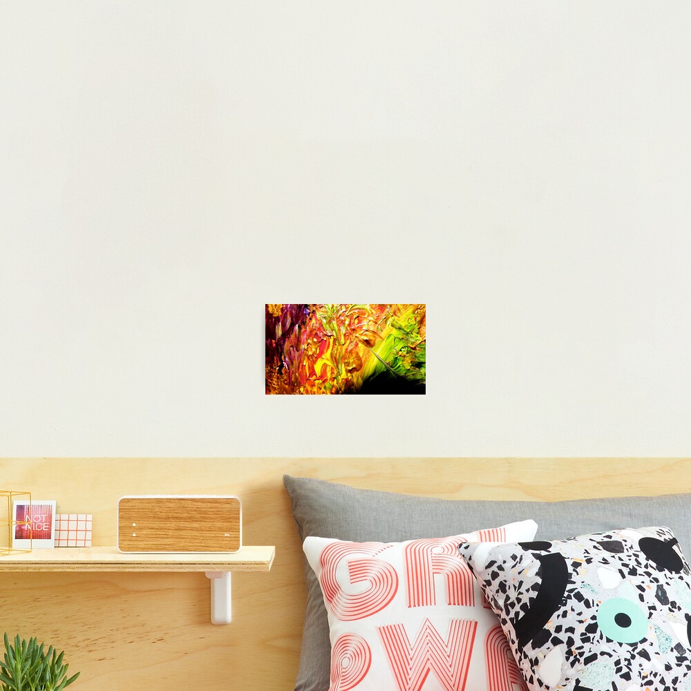 La Pepita: Enchanted Fairyland Elf Photographic Print