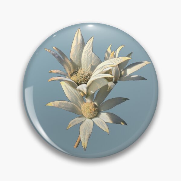 Item preview, Australian flannel flower  designed and sold by PipAndTheSea.