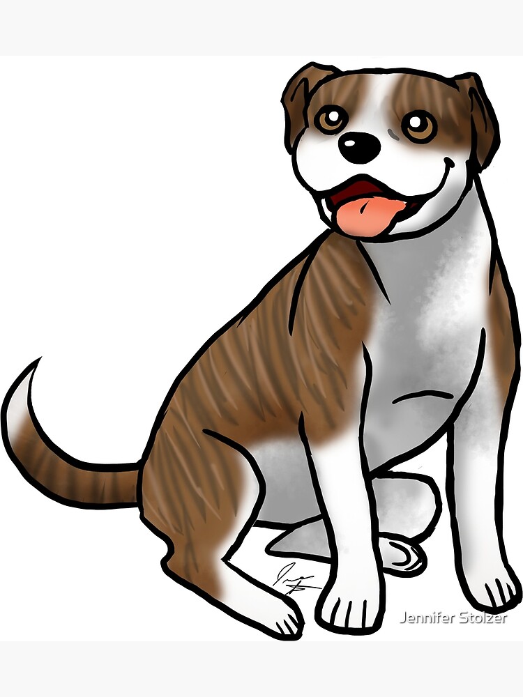 American Pit Bull Terrier - Brindle and White by jameson9101322