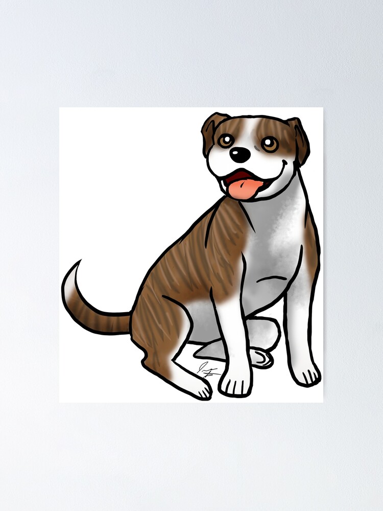 Alternate view of American Pit Bull Terrier - Brindle and White Poster