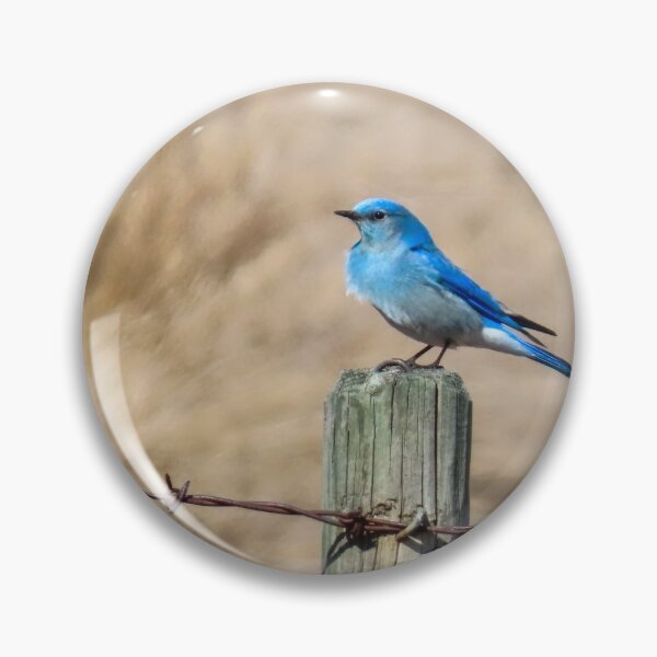 Item preview, Mountain Bluebird  designed and sold by DigitalGen.