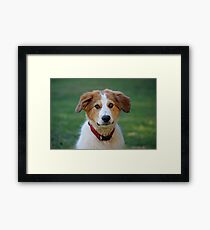 Max Framed Print