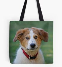 Max Tote Bag
