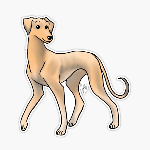 Dog Saluki Fawn Smooth Sticker