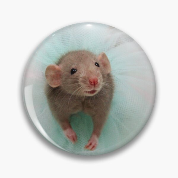 Item preview, Ballerina Rat Encore designed and sold by angelsunawares.