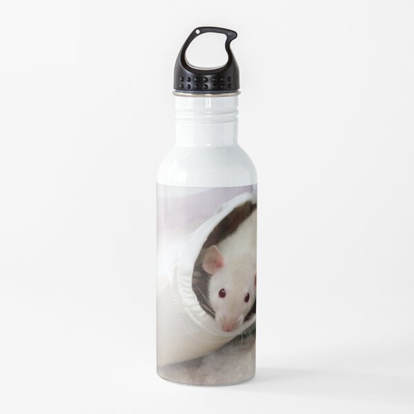 Peek a Shoe--A Pointe Shoe Water Bottle