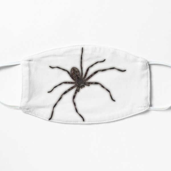 Huntsman Spider (Delena cancerides) Mask