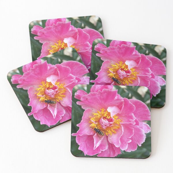 Item preview, Busy Bee, Fawcett, Alberta designed and sold by BC Family.