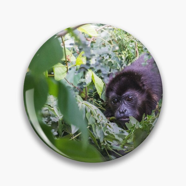 Item preview, Howler monkey foraging for food designed and sold by wellsie82.