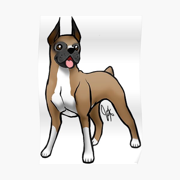 Boxer - Fawn Poster
