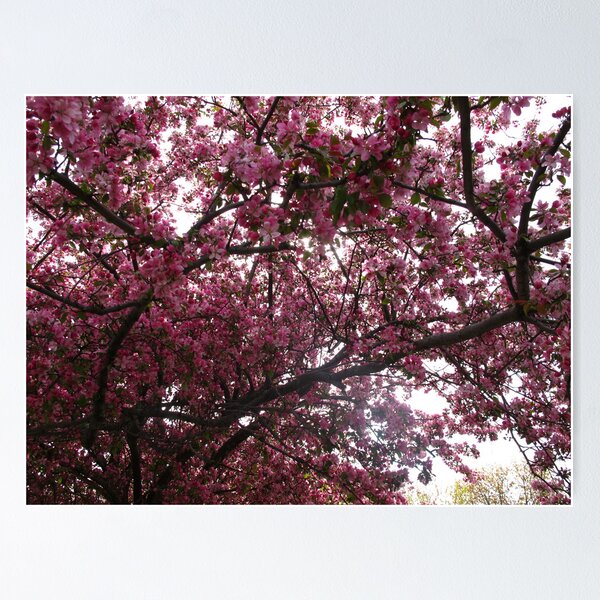 Item preview, Appreciating the splendours of Spring designed and sold by MarianBendeth.