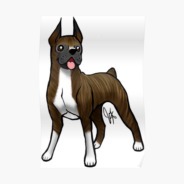 Boxer - Brindle Poster