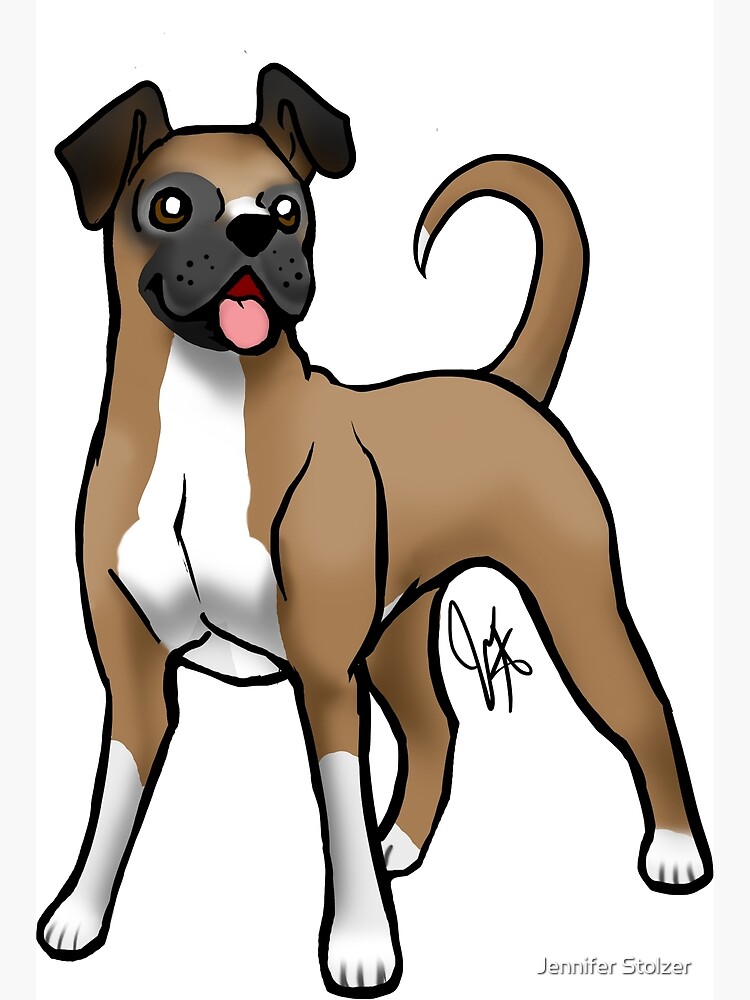 Boxer - Fawn Natural by jameson9101322