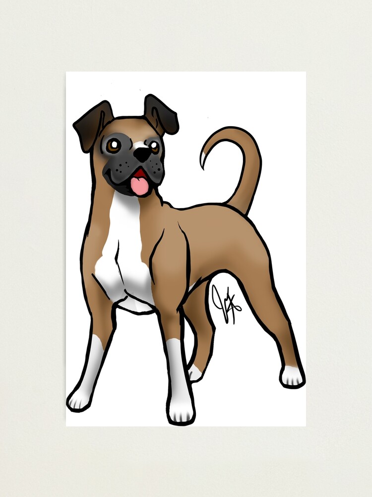 Alternate view of Boxer - Fawn Natural Photographic Print
