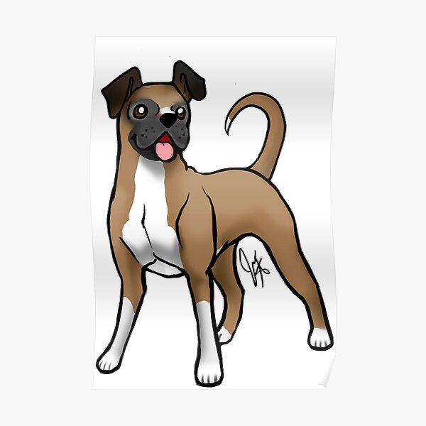 Boxer - Fawn Natural Poster