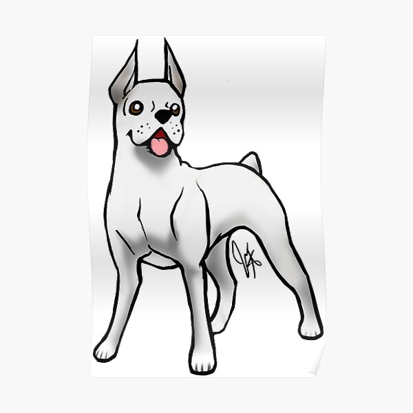 Boxer - White Poster
