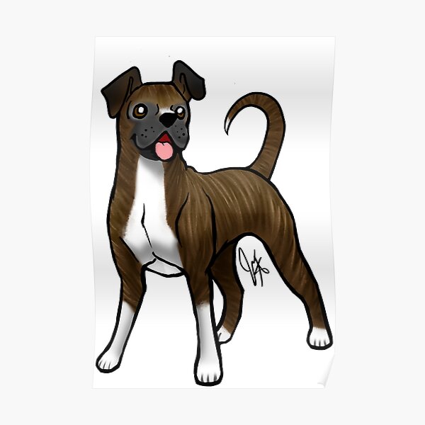 Boxer - Brindle Natural Poster