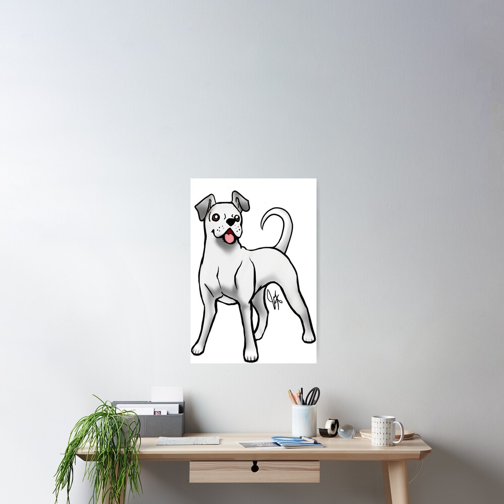 Boxer - White Natural Poster