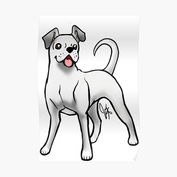 Boxer - White Natural Poster