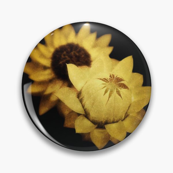 Item preview, Everlasting Paper Daisies - Black Background- Uluru - Northern Territory designed and sold by Ohlordi.