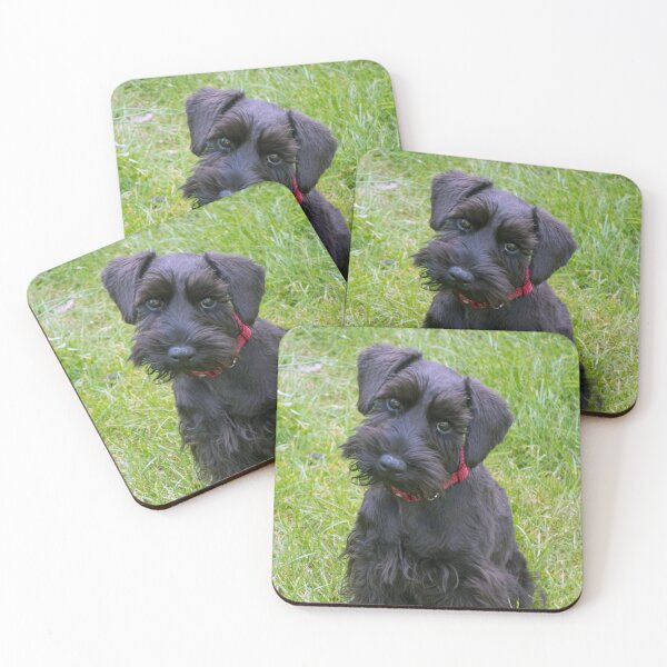 Item preview, Black Dog Design. designed and sold by Peace Bound.