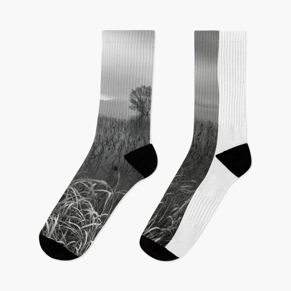 Item preview, The Trees of Lake Biwa designed and sold by Jordan McChesney.