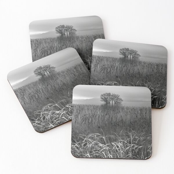 Item preview, The Trees of Lake Biwa designed and sold by Jordan McChesney.