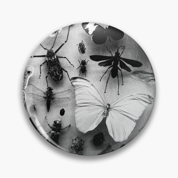 Artikelvorschau, Entomologie 3 entworfen und verkauft von Chloé Sauvage.