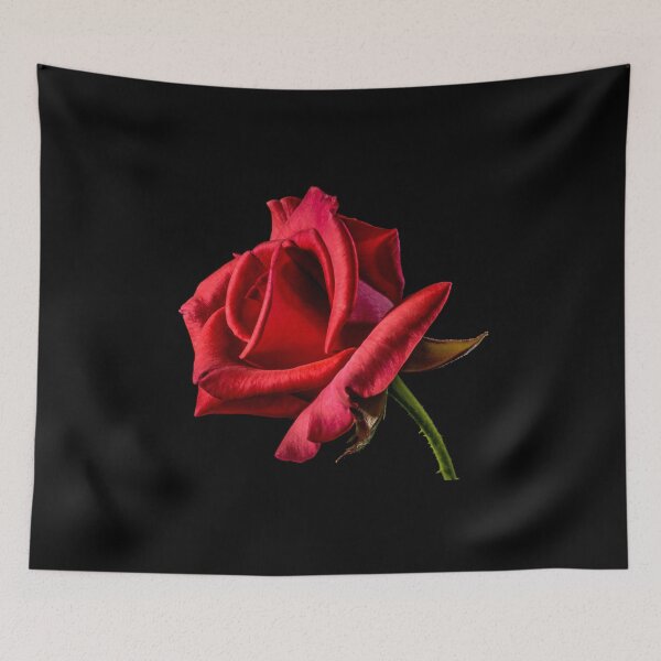 Item preview, Love is Love  designed and sold by Guy Christophe Tixier.