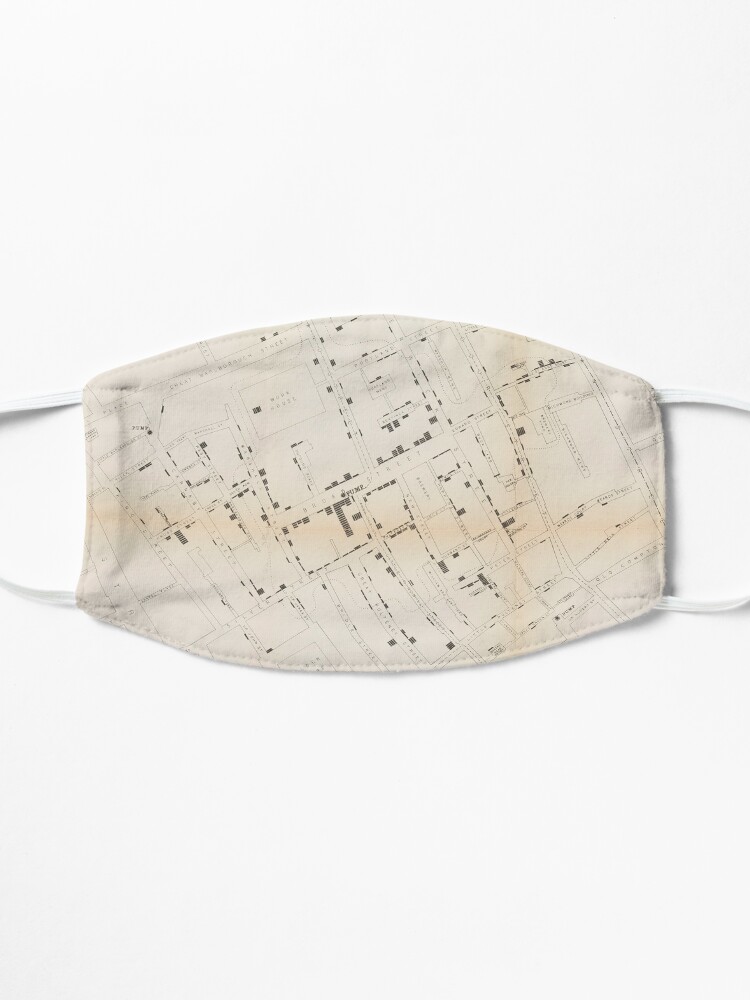 Alternate view of John Snow's Cholera Map Mask