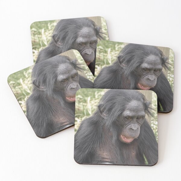 Item preview, Young bonobo designed and sold by KcsArt87.