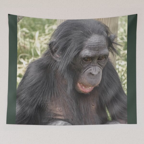 Item preview, Young bonobo designed and sold by KcsArt87.